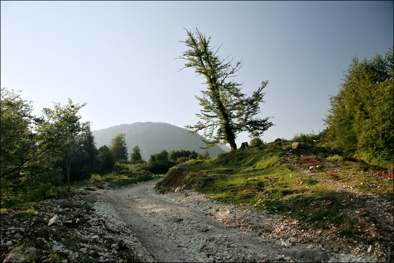 Вечерняя дорога : 2006, август - Абхазия, Хипста